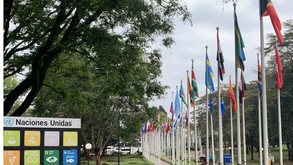 Foto från Nairobi med flera länders flaggor på rad. 