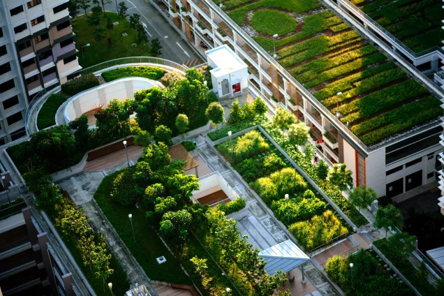 Top view of building with trees. Photo.